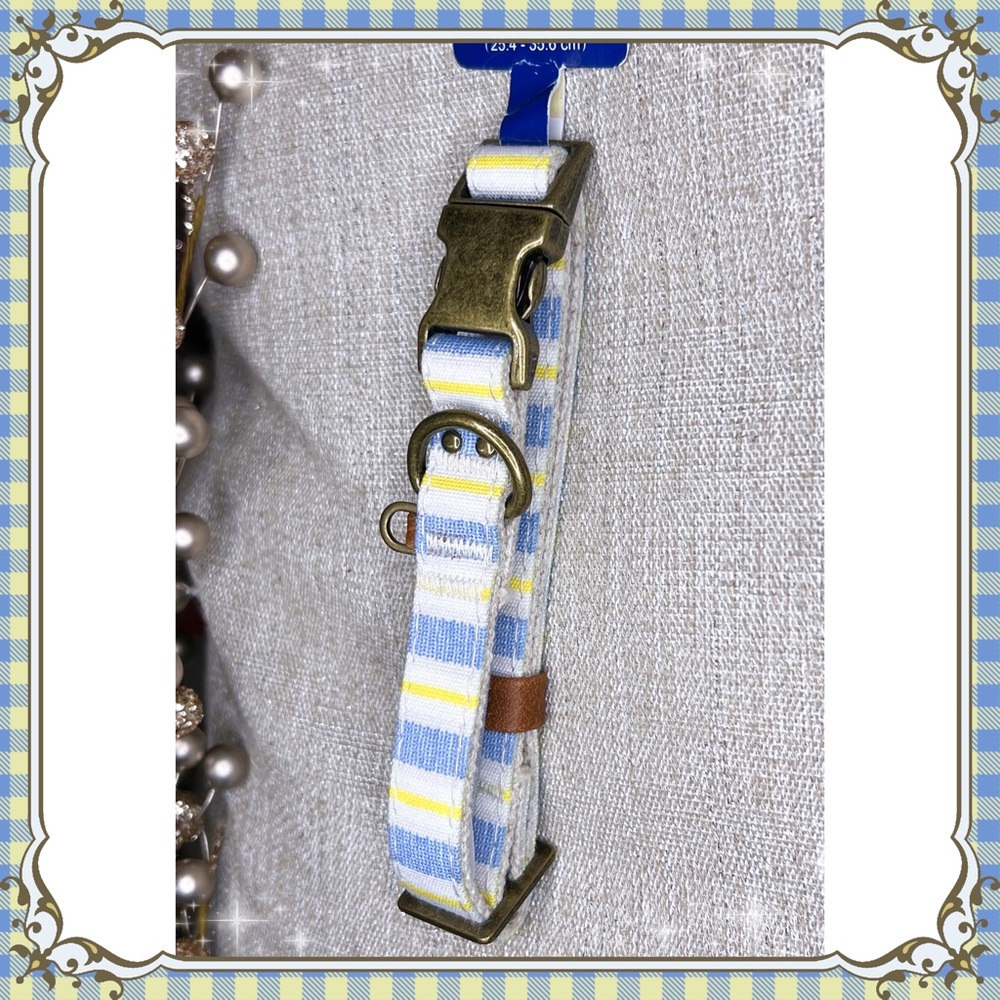 S Petsmart Blue & Yellow Striped Dog Collar Boho Ethnic Gold Bronze Buckle SMALL